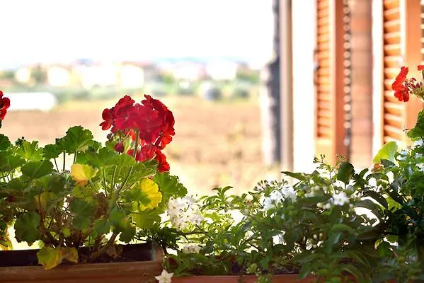 Agriturismo Bellarosa Assisi 0*,